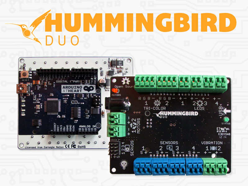 hummingbird-duo