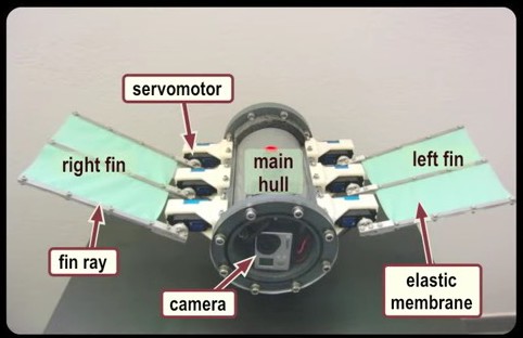 UnderwaterRobot2