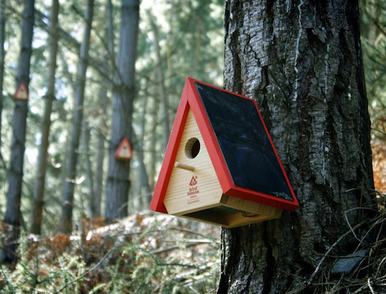 Birdhouse2