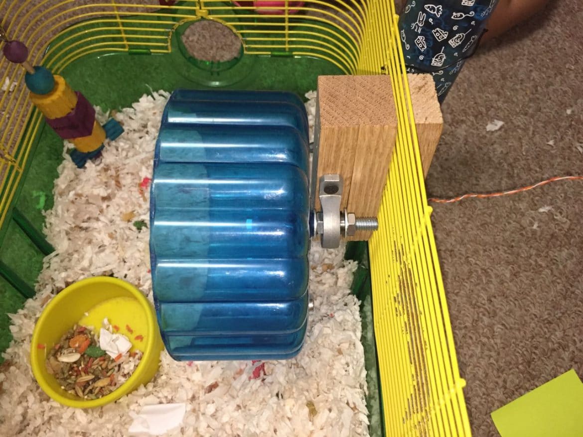 hamster in hamster wheel