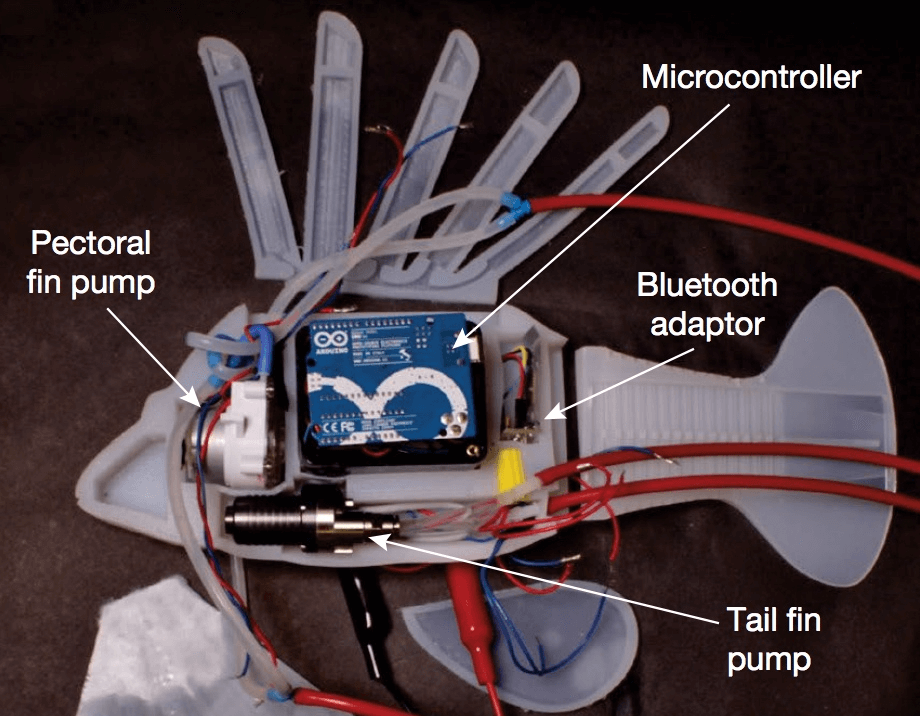 This robotic fish is powered by its own artificial circulatory system