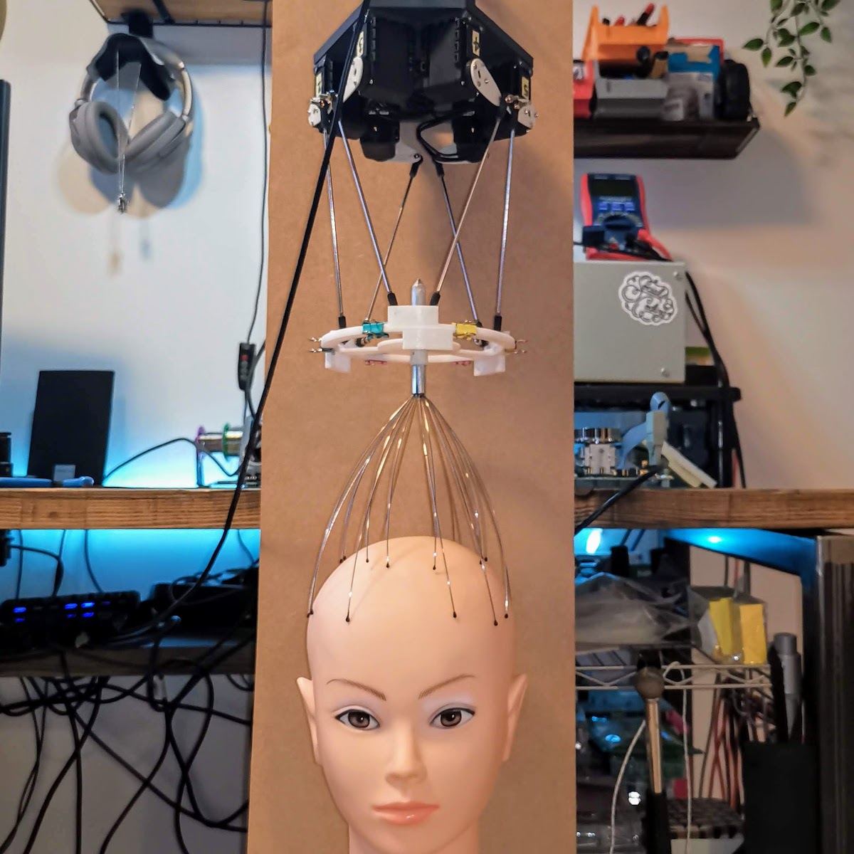 Over-engineered robotic scalp scratcher knows all the moves