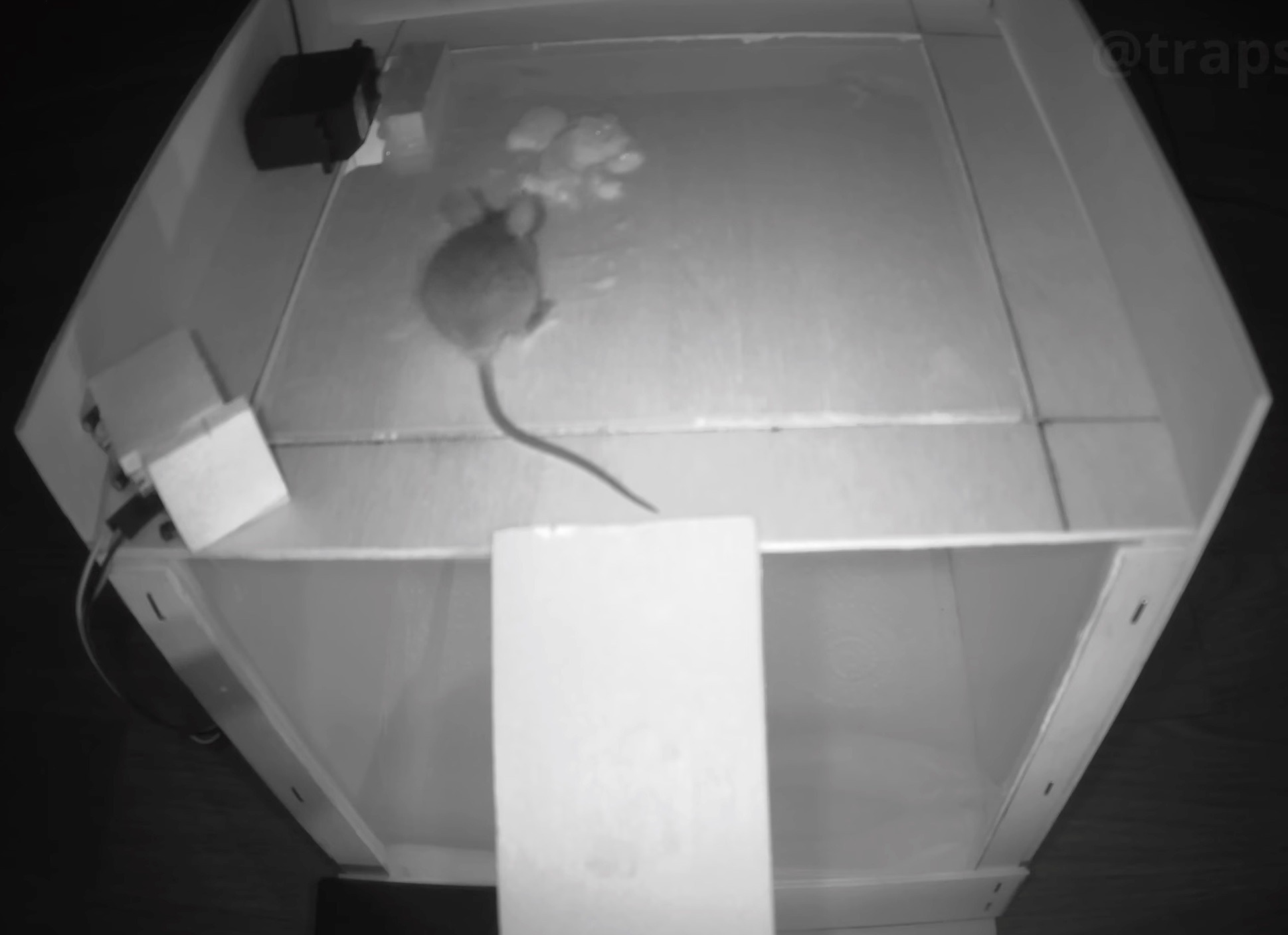 Constructing a rodentfriendly catchandrelease mousetrap with Arduino