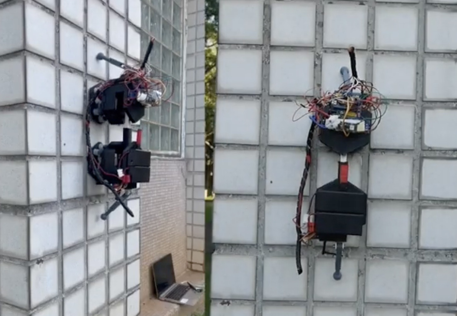GLEWBOT scales buildings like a gecko to inspect wall tiles
