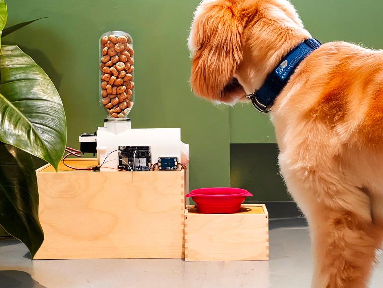 Build your own smart pet feeder with the Arduino Plug and Make Kit